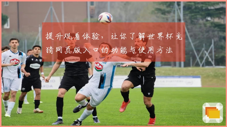 提升观看体验，让你了解世界杯竞猜网页版入口的功能与使用方法