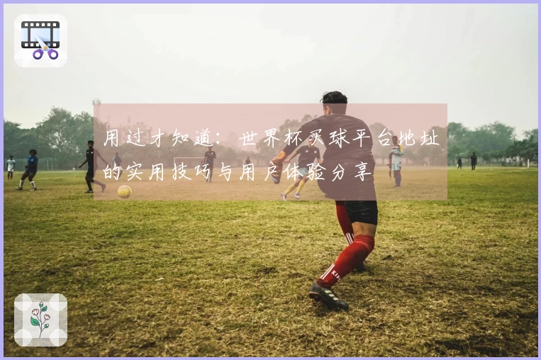 用过才知道：世界杯买球平台地址的实用技巧与用户体验分享