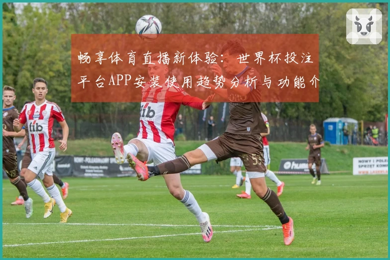 畅享体育直播新体验：世界杯投注平台APP安装使用趋势分析与功能介绍