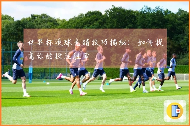 世界杯滚球竞猜技巧揭秘：如何提高你的投注胜率