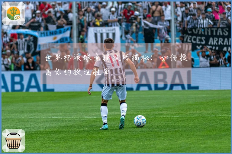 世界杯滚球竞猜技巧揭秘：如何提高你的投注胜率