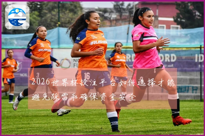 2026世界杯投注平台如何选择才能避免踩雷和确保资金安全