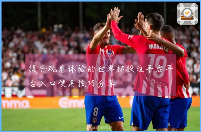 提升观看体验的世界杯投注平台平台入口使用技巧分享