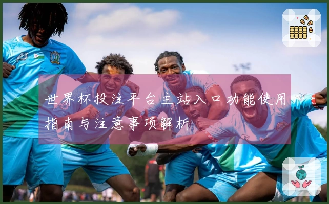 世界杯投注平台主站入口功能使用指南与注意事项解析