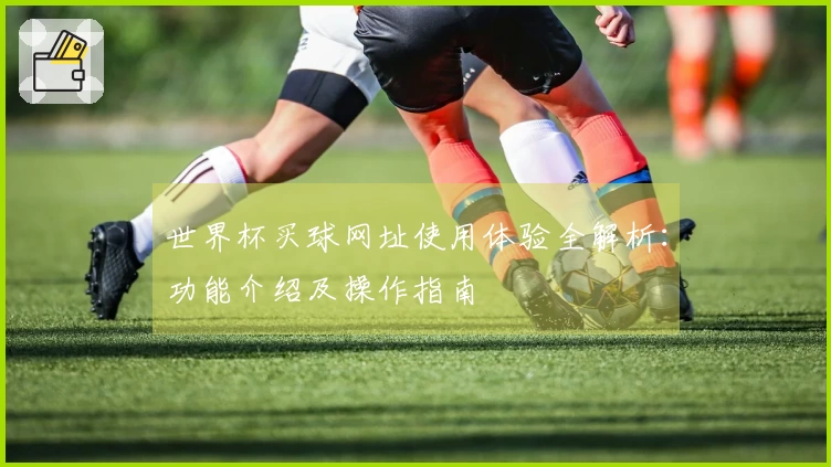 世界杯买球网址使用体验全解析：功能介绍及操作指南